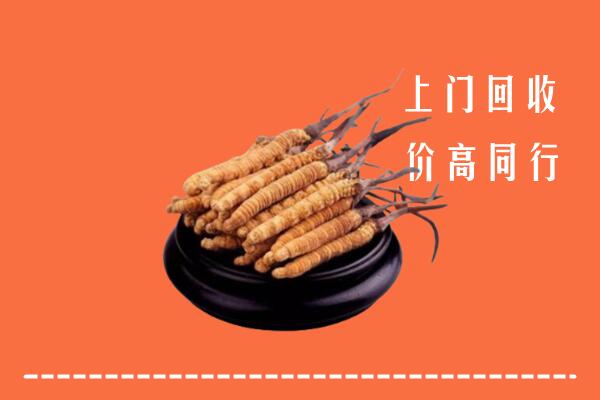 高价求购：内江回收散虫草