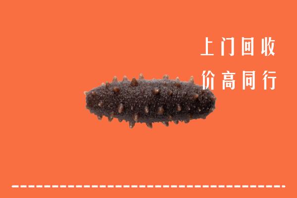 高价求购：内江回收海参